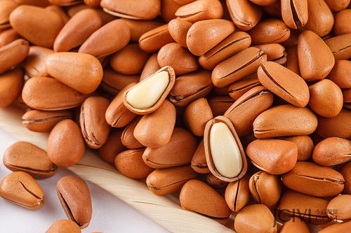 今彩視覺 專業年貨堅果攝影，點亮淘寶食品拍攝新風尚